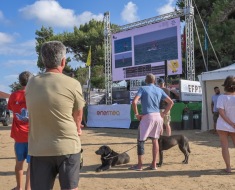 2023-EFPT-Vieste-day-5-@protographyofficial-@freestyleprotour-161-Large